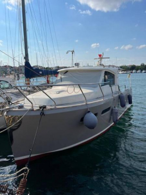 At Yeşilköy harbour pretty Lobste Only Accommodation